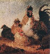 Aelbert Cuyp Rooster and Hens. oil painting on canvas